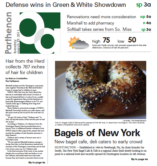 Newspaper